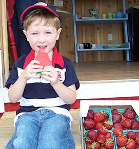 Stop by the Farm Market in Burlington, Washington for From the Farm Treats of berries and shortcake. 